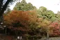 波爾布神社(滋賀県)