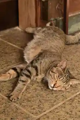 王子神社(徳島県)