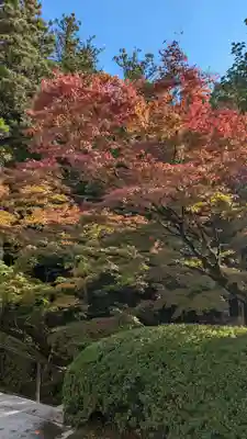 今熊野観音寺(京都府)