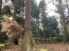 鎌足神社(福島県)