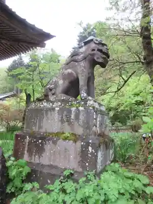 青龍山 吉祥寺の狛犬