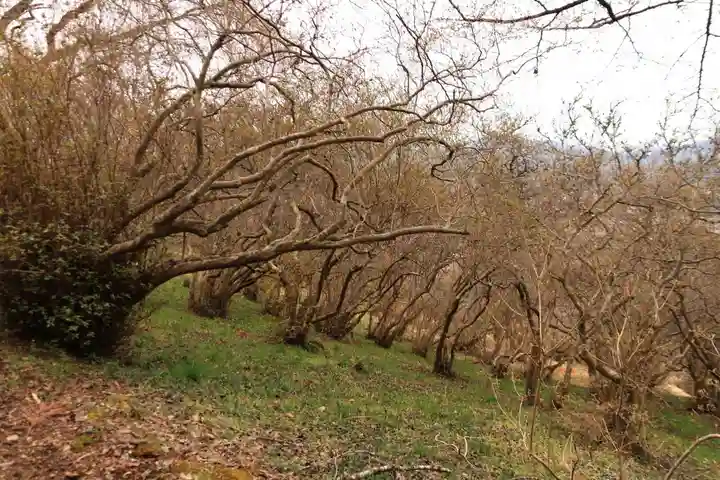 三峯神社の自然