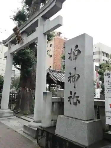 柏神社の鳥居