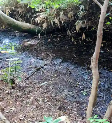 阿夫利神社(千葉県)