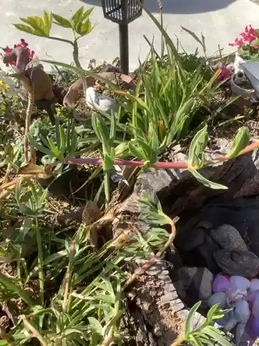 三輪神社の自然