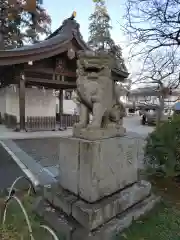 高麗神社の狛犬