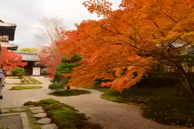天授庵(京都府)