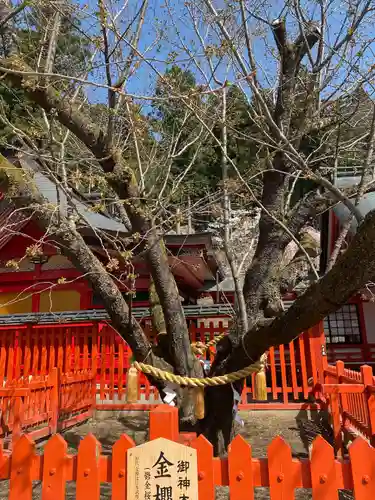 金櫻神社(山梨県)