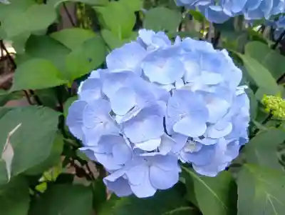 石刀神社(愛知県)