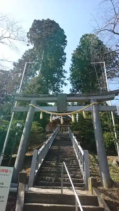 大島神社の鳥居