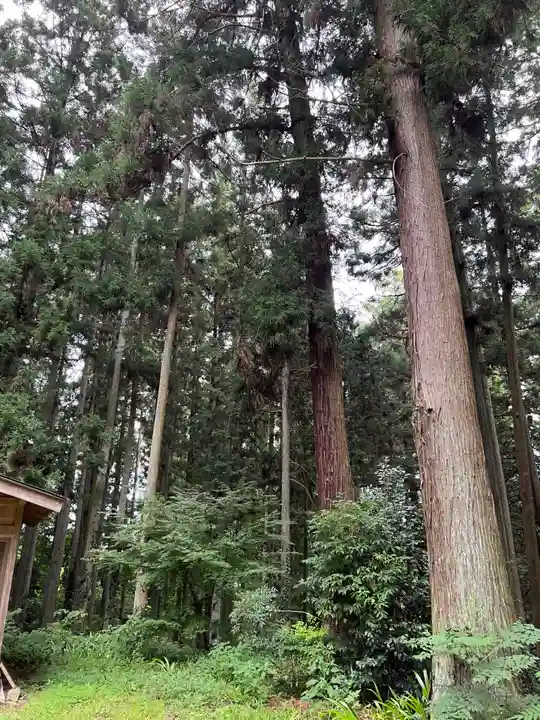 大宮温泉神社(栃木県)