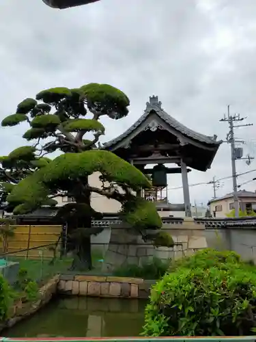 西法寺(大阪府)
