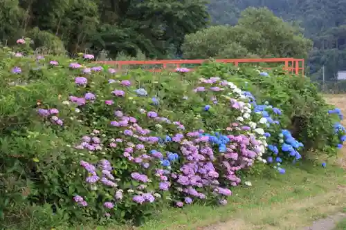 日枝神社の景色