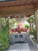 陽林寺の手水舎