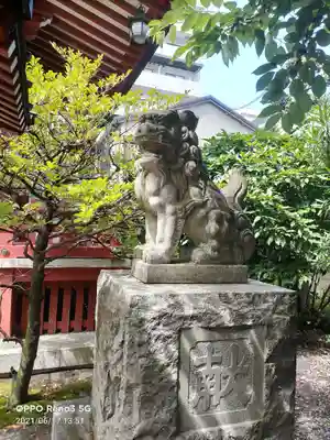 秋葉神社の狛犬
