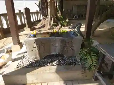 柏諏訪神社の手水舎