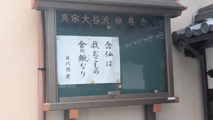 専念寺(京都府)