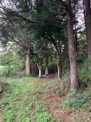 青龍大権現(千葉県)