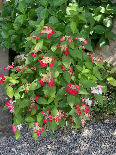 佛日庵(神奈川県)