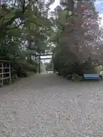 天津神明宮(千葉県)