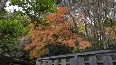醍醐寺(京都府)