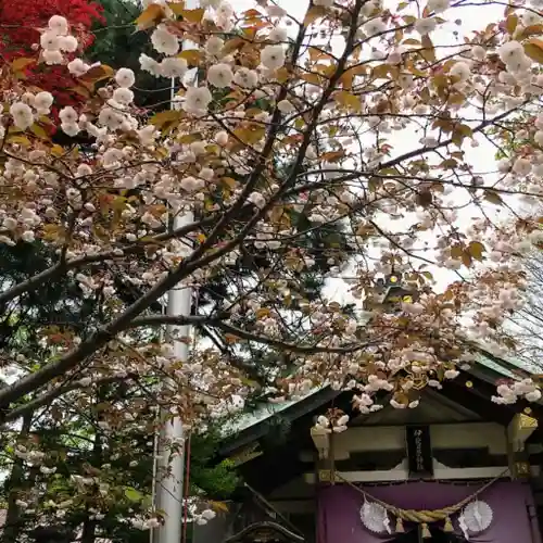 彌彦神社　(伊夜日子神社)の自然