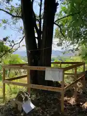 恵美酒神社の自然