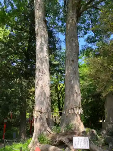 妻沼聖天山歓喜院(埼玉県)