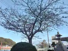 叶神社 (西叶神社)の自然