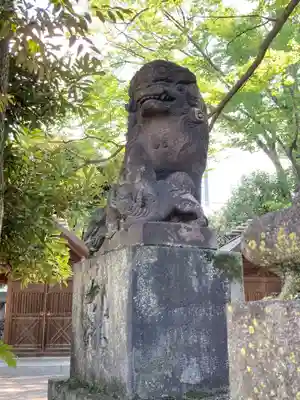 富岡八幡宮の狛犬