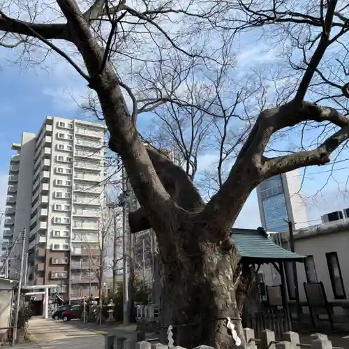 阿邪訶根神社(福島県)