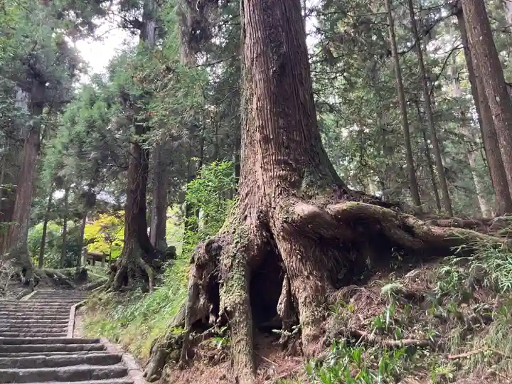 最乗寺(道了尊)(神奈川県)