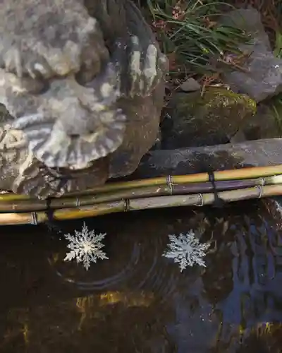 渋川八幡宮(群馬県)