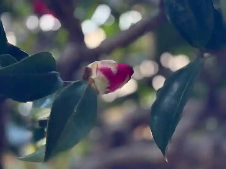 西方山極楽寺(岐阜県)