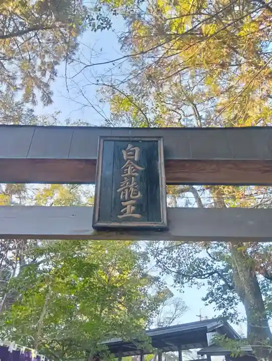 白金龍王社(愛知県)