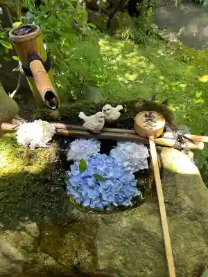 柳谷観音　楊谷寺(京都府)