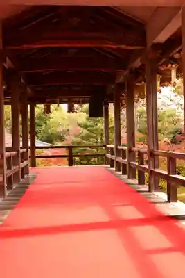 光明寺（粟生光明寺）(京都府)