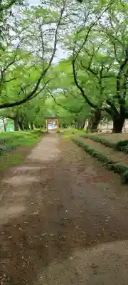 東蕗田天満社(茨城県)