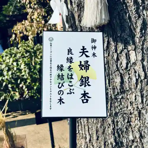 川越八幡宮(埼玉県)