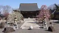 東持寺の本殿