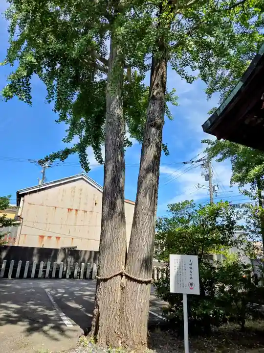 杉杜白髭神社(福井県)