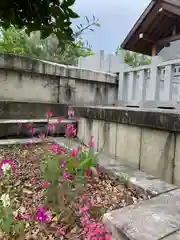 高山神社(群馬県)