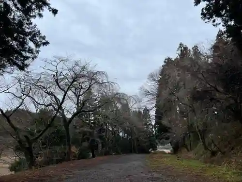 大宮温泉神社(栃木県)