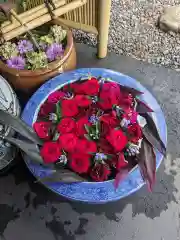 多賀神社の手水