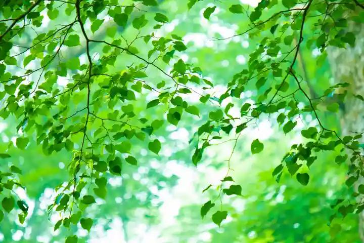熊野皇大神社(長野県)