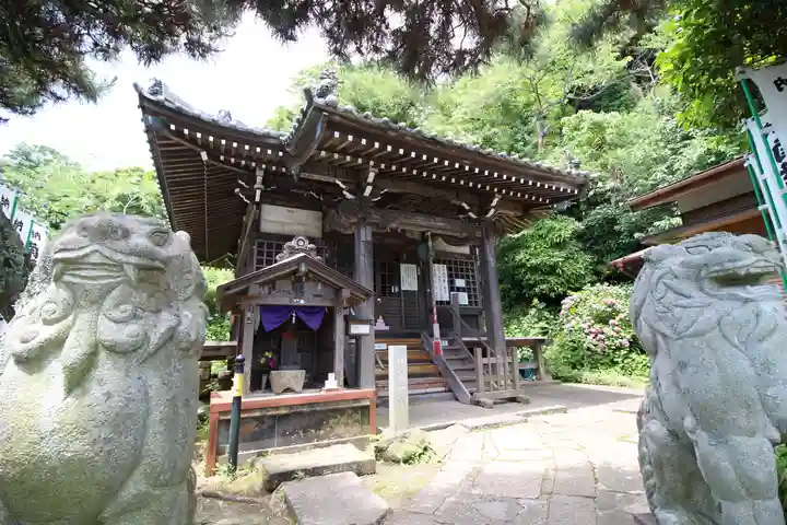 星井寺(虚空蔵堂)の本殿・本堂