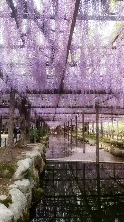 秋葉神社の自然