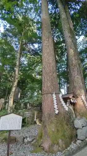 富士山東口本宮 冨士浅間神社(静岡県)