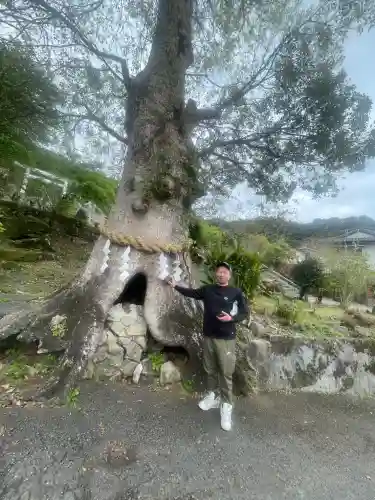高千穂神社(鹿児島県)