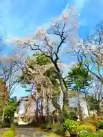 関川寺(福島県)